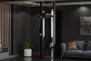 home-lifts-series-IV Max