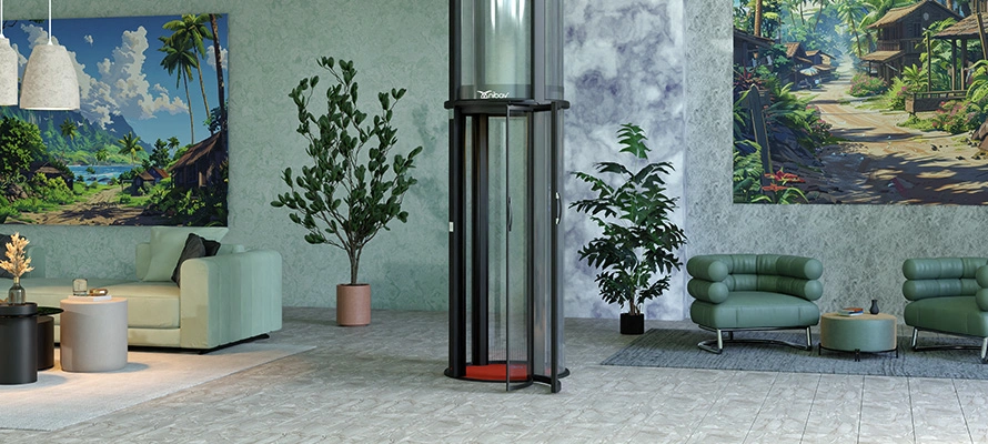 domestic lifts